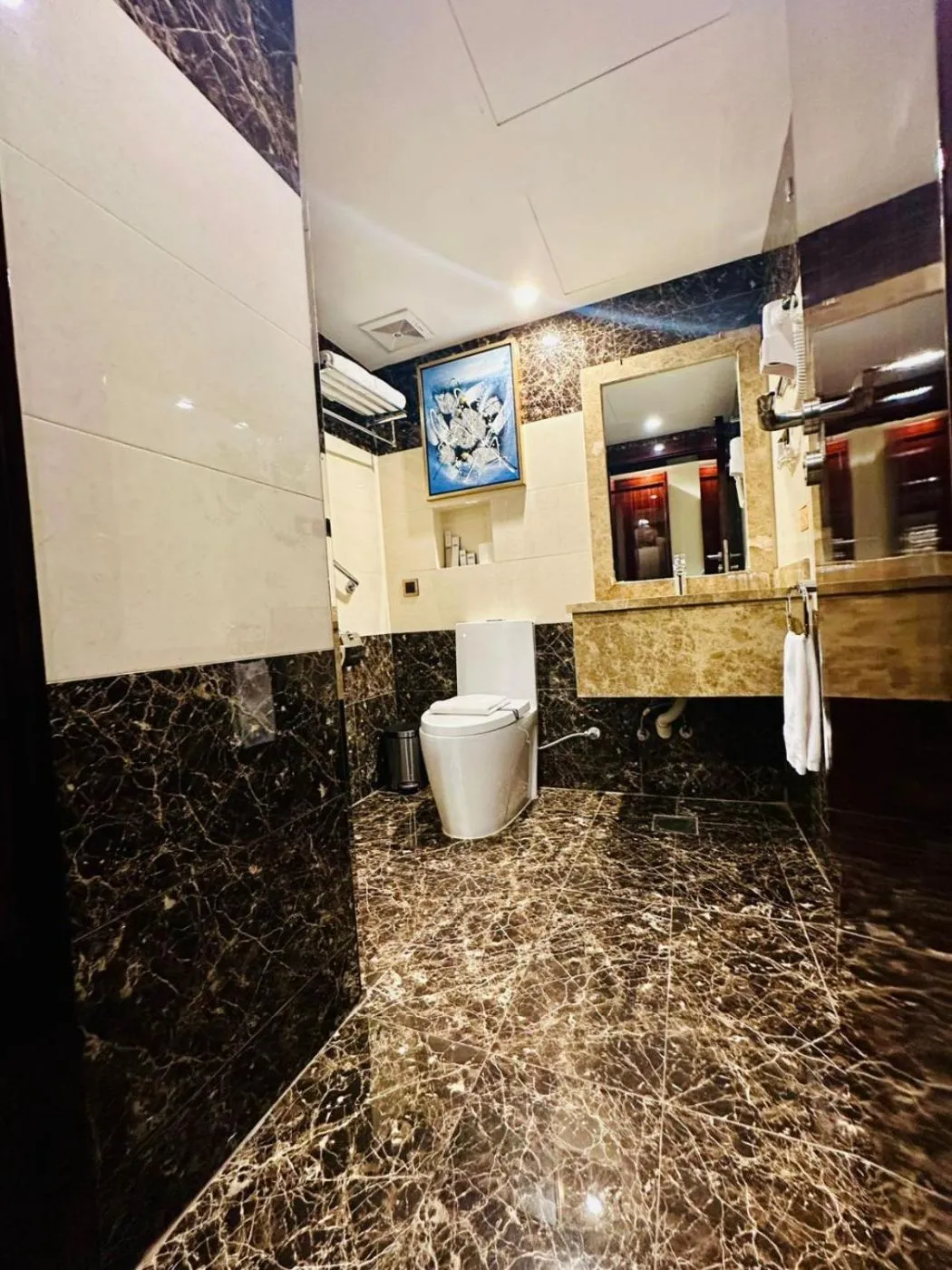 Guest bathroom